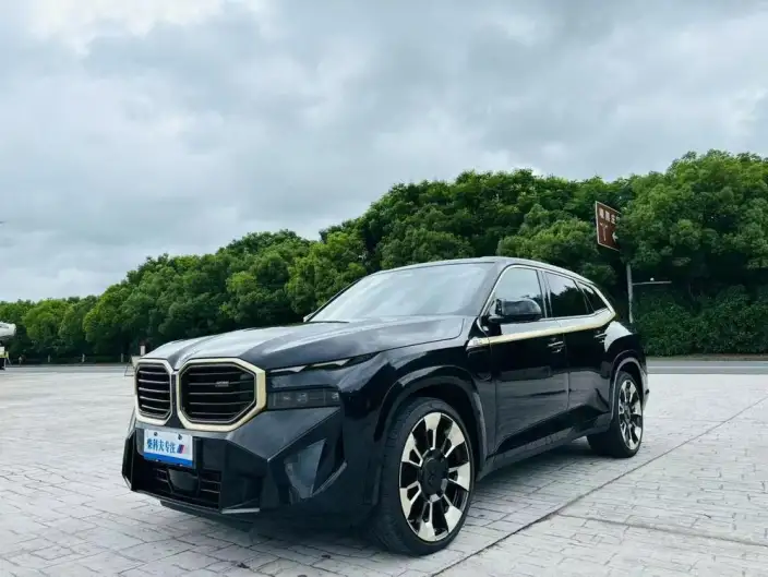 BMW XM 2023 Model 4.4T Standard Model – фото 10
