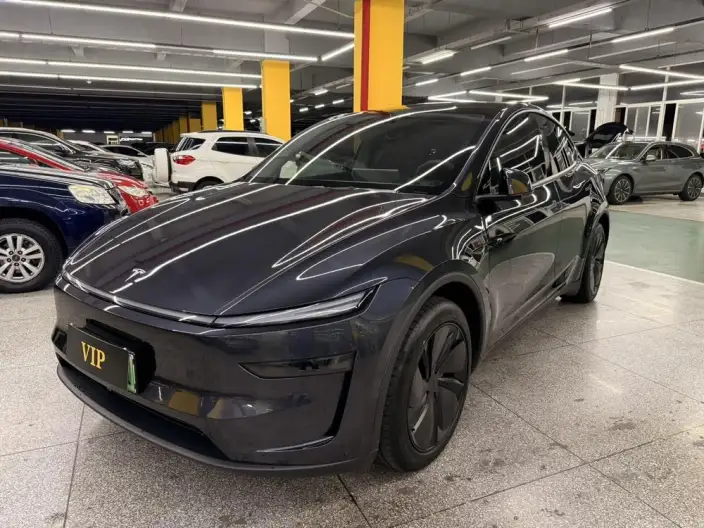 Model Y 2025 Model Rear-wheel drive version – фото 1