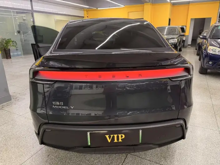 Model Y 2025 Model Rear-wheel drive version – фото 3