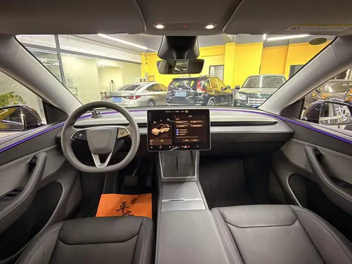 Model Y 2025 Model Rear-wheel drive version – фото 6
