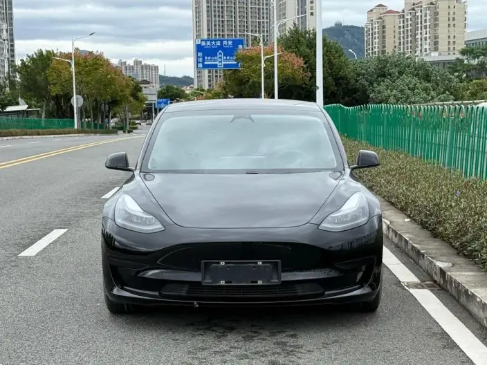 Model 3 2022 Model Rear-wheel drive version – фото 2