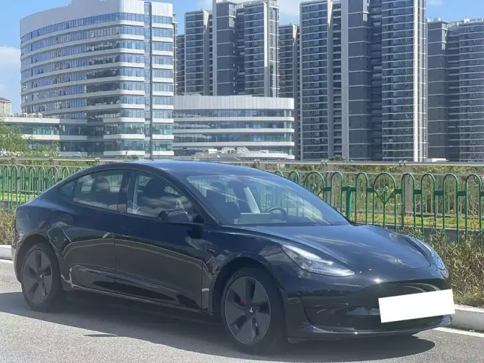 Model 3 2022 Model Rear-wheel drive version – фото 3