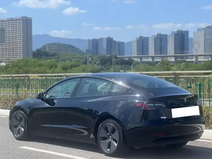 Model 3 2022 Model Rear-wheel drive version – фото 4