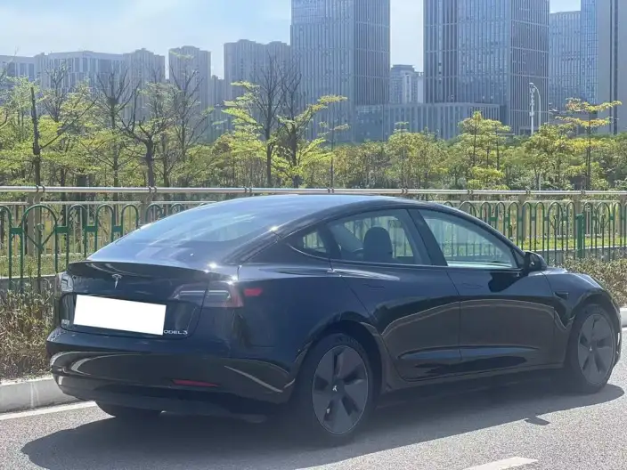 Model 3 2022 Model Rear-wheel drive version – фото 5