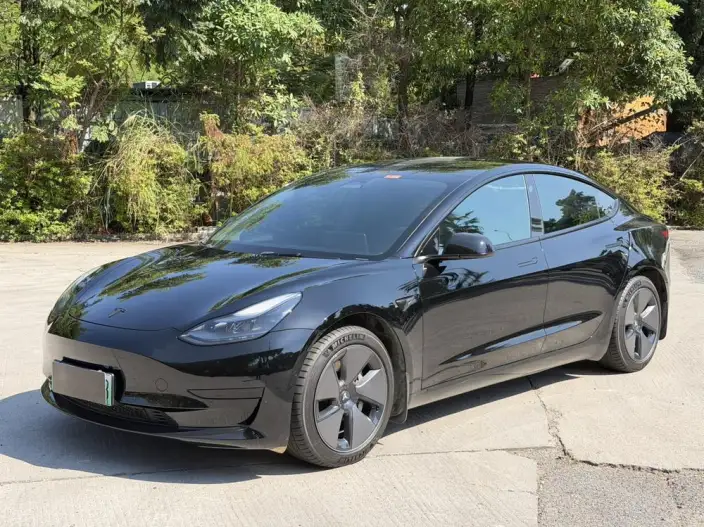Model 3 2022 Model Rear-wheel drive version – фото 1
