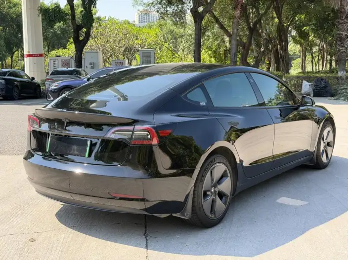 Model 3 2022 Model Rear-wheel drive version – фото 6