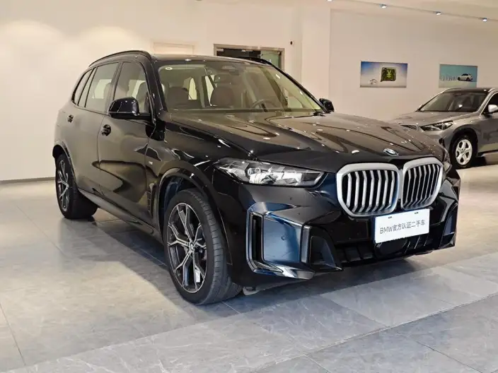 BMW X5 2025 Model xDrive30Li Exclusive Model M Sports Night Set – фото 3