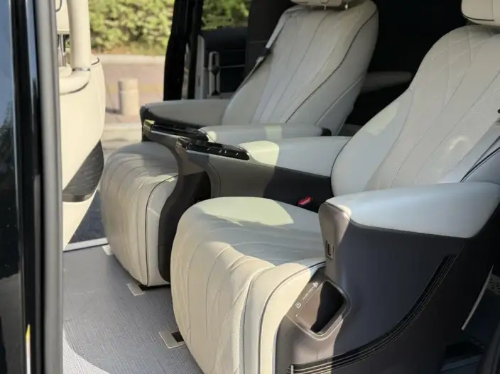 DENZA D9 DM 2024 Model 980 4WD Noble Model – фото 9