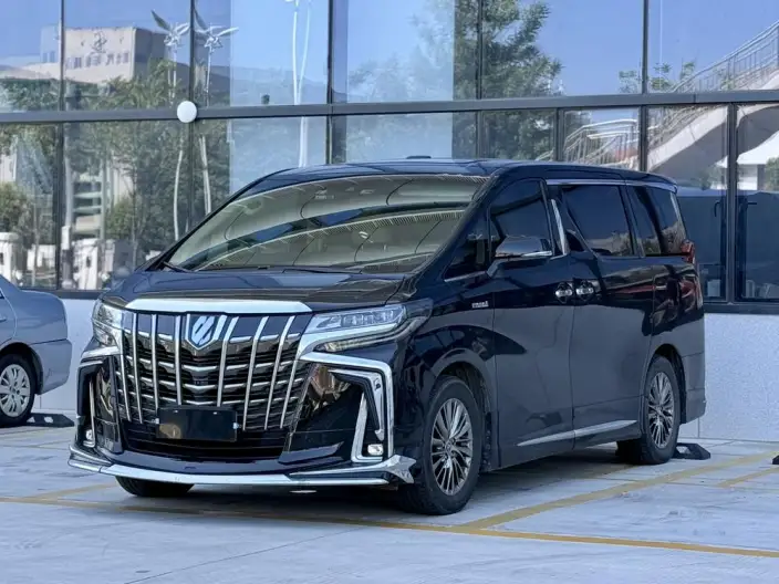 Elfa 2021 Model Hybrid 2.5L Premium Edition – фото 1