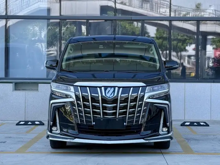 Elfa 2021 Model Hybrid 2.5L Premium Edition – фото 2
