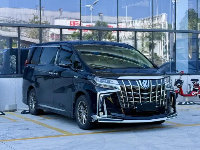 Elfa 2021 Model Hybrid 2.5L Premium Edition – фото 3