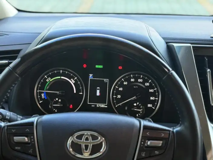 Elfa 2021 Model Hybrid 2.5L Premium Edition – фото 8