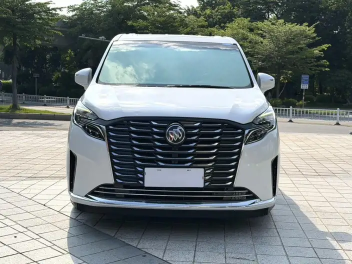Buick GL8 2023 Model ES Luzun 2.0T Comfort Model – фото 2