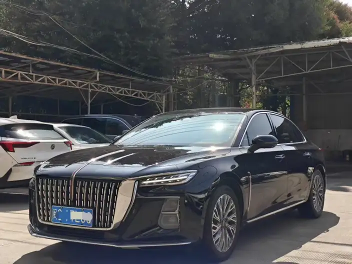 Hongqi H5 2023 Model 2.0T Automatic Flag Enjoy Edition – фото 1