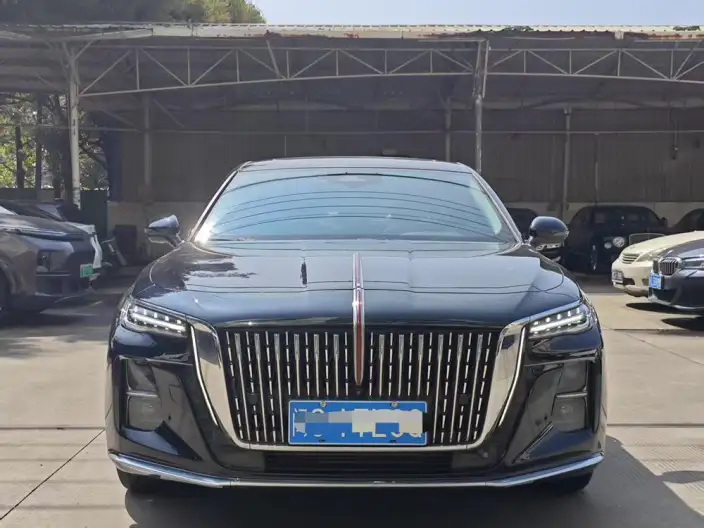 Hongqi H5 2023 Model 2.0T Automatic Flag Enjoy Edition – фото 2