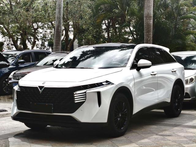 Venucia Big V 2022 260T King Edition