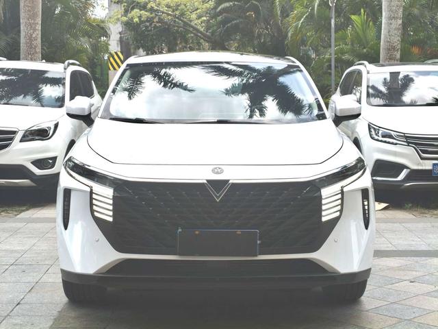 Venucia Big V 2022 260T King Edition