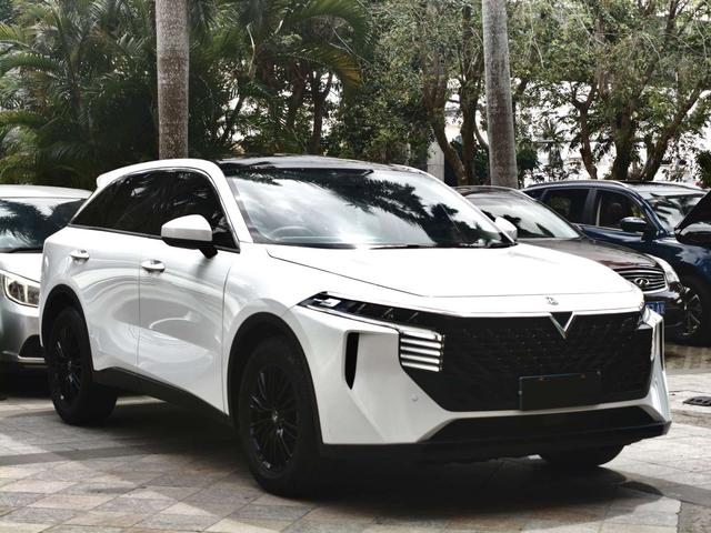 Venucia Big V 2022 260T King Edition