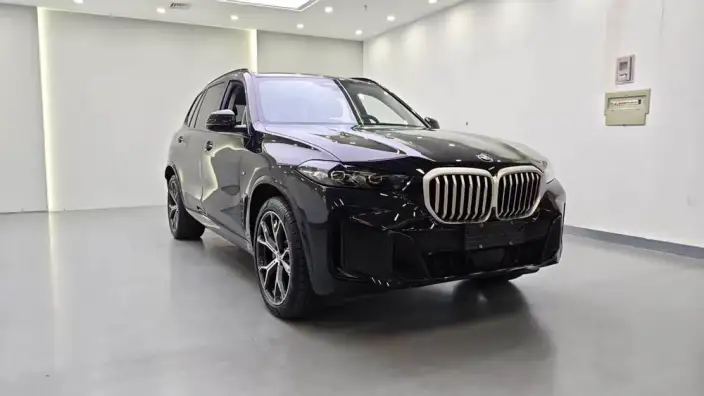 BMW X5 2023 Model xDrive30Li M Sports Set – фото 3