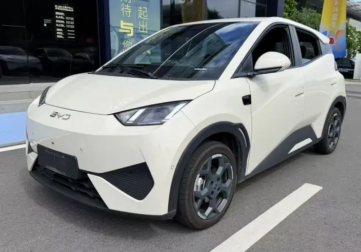 BYD Seagull 2025 Model Smart Driving Edition 305KM Free Edition – фото 1