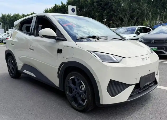 BYD Seagull 2025 Model Smart Driving Edition 305KM Free Edition – фото 3