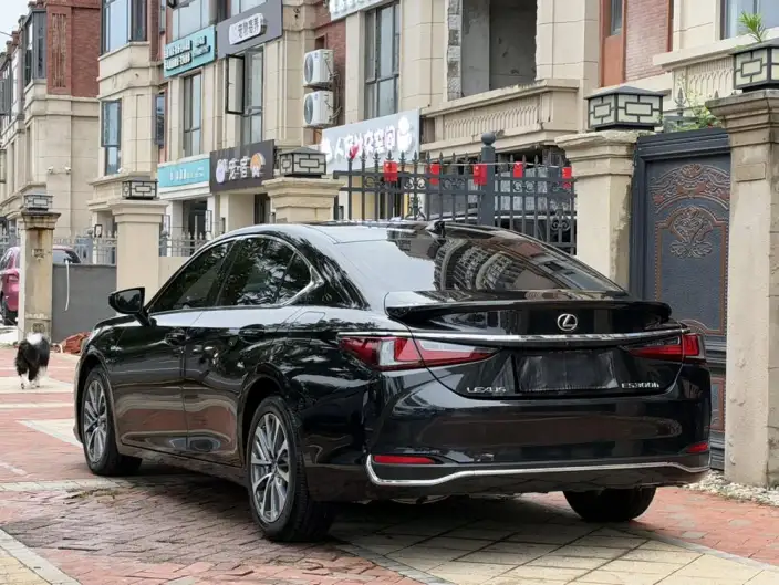 Lexus ES 2022 Model 300h Superior Edition – фото 4