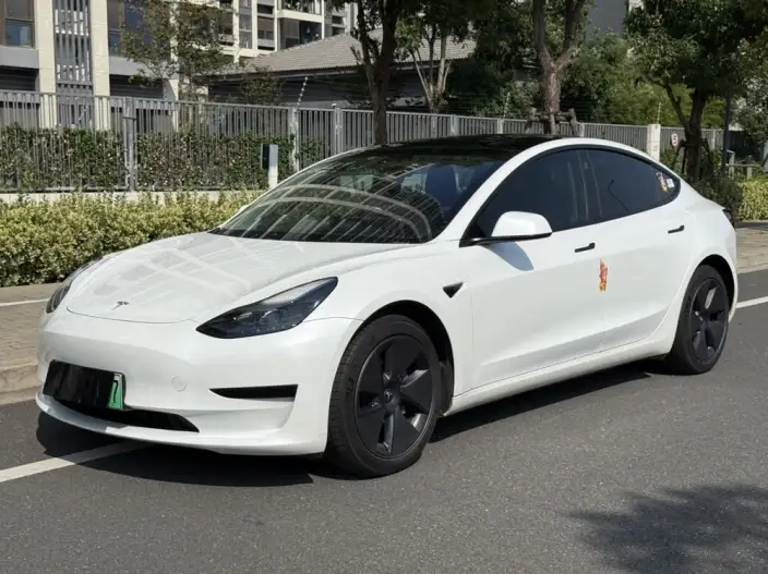 Model 3 2022 Model Rear-wheel drive version – фото 1