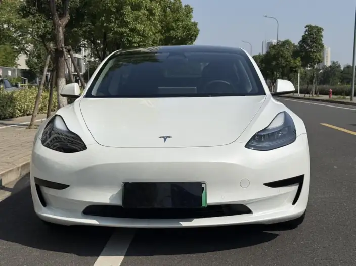 Model 3 2022 Model Rear-wheel drive version – фото 2