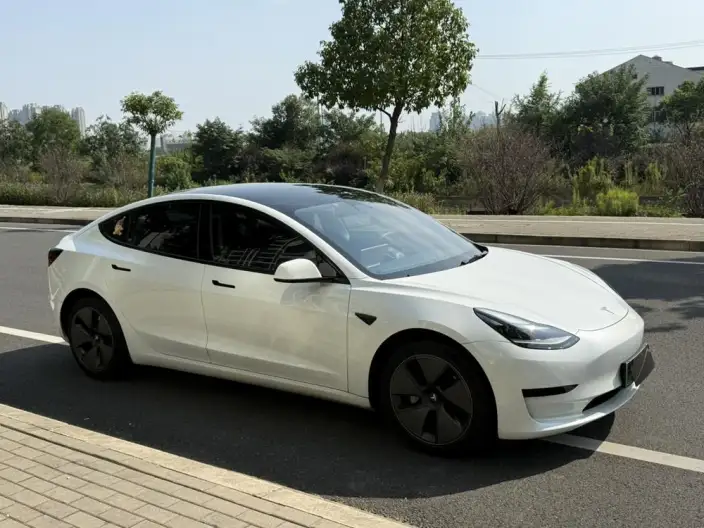 Model 3 2022 Model Rear-wheel drive version – фото 3