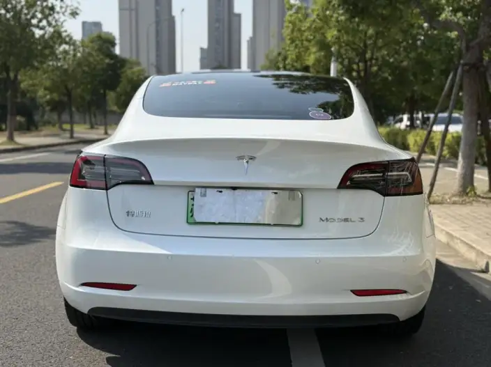 Model 3 2022 Model Rear-wheel drive version – фото 6
