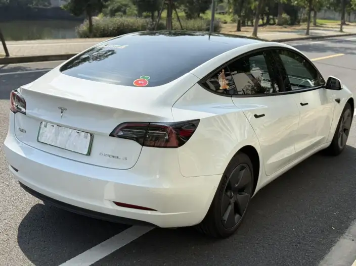 Model 3 2022 Model Rear-wheel drive version – фото 7