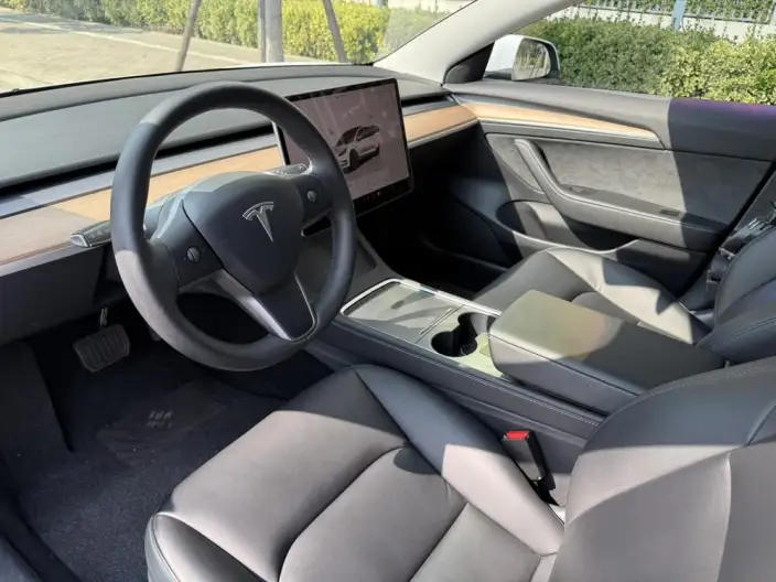 Model 3 2022 Model Rear-wheel drive version – фото 9