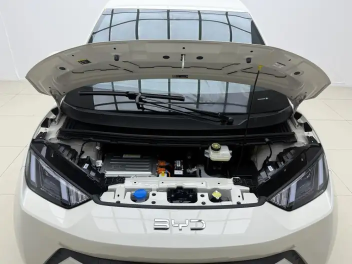 BYD Seagull 2025 Model 305KM Vitality Edition – фото 10