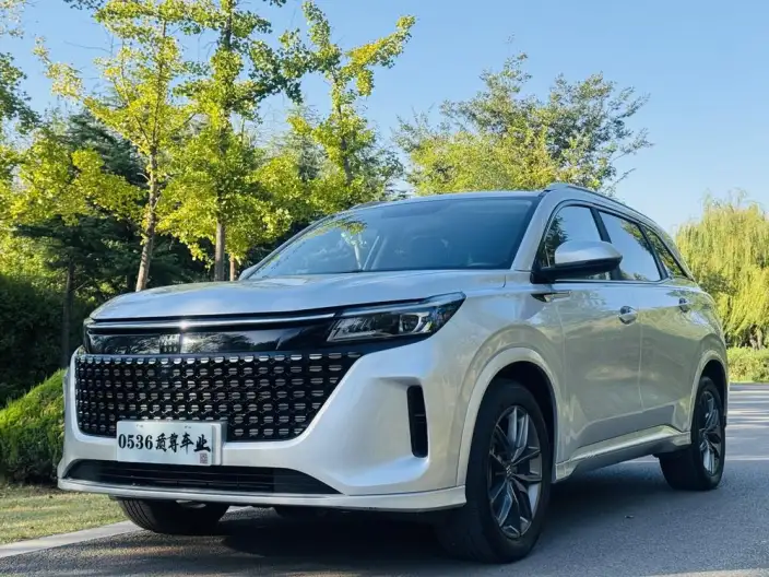 Blue Electric E5 2023 Model 1.5L DE-i Changxiang Edition Model