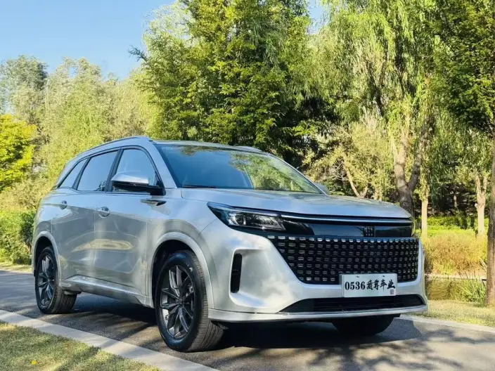 Blue Electric E5 2023 Model 1.5L DE-i Changxiang Edition Model