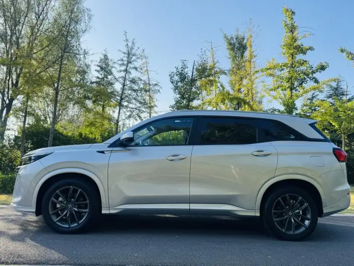 Blue Electric E5 2023 Model 1.5L DE-i Changxiang Edition Model