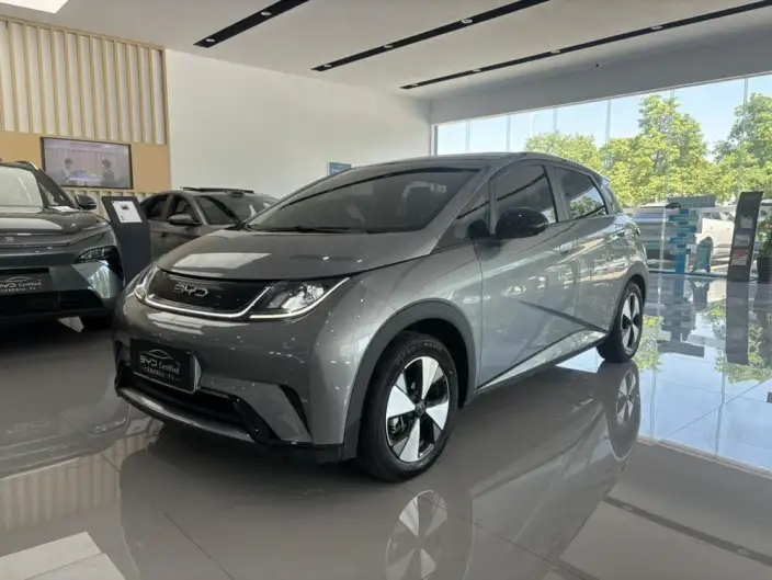 BYD Dolphin 2023 Model Free Edition – фото 1
