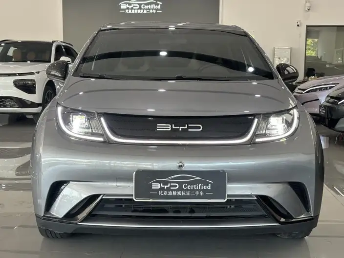BYD Dolphin 2023 Model Free Edition – фото 2