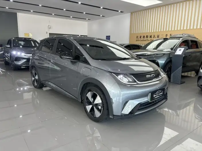 BYD Dolphin 2023 Model Free Edition – фото 3