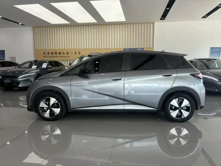 BYD Dolphin 2023 Model Free Edition – фото 4