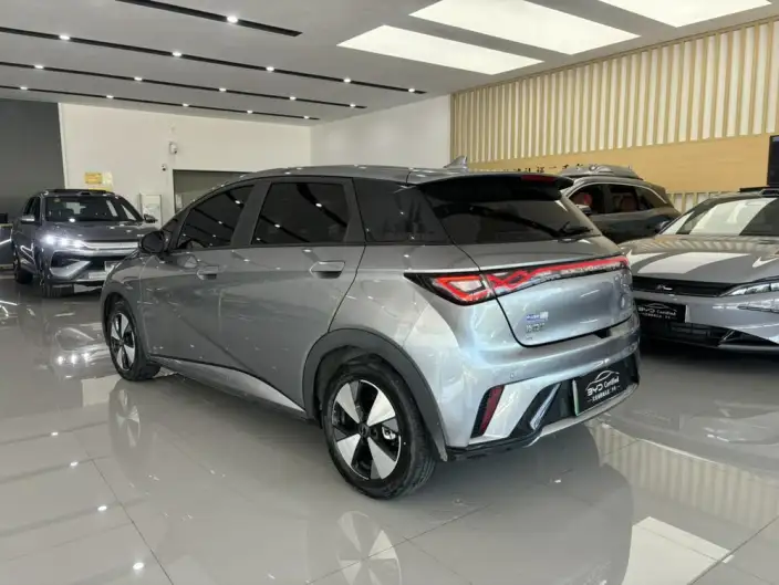 BYD Dolphin 2023 Model Free Edition – фото 5