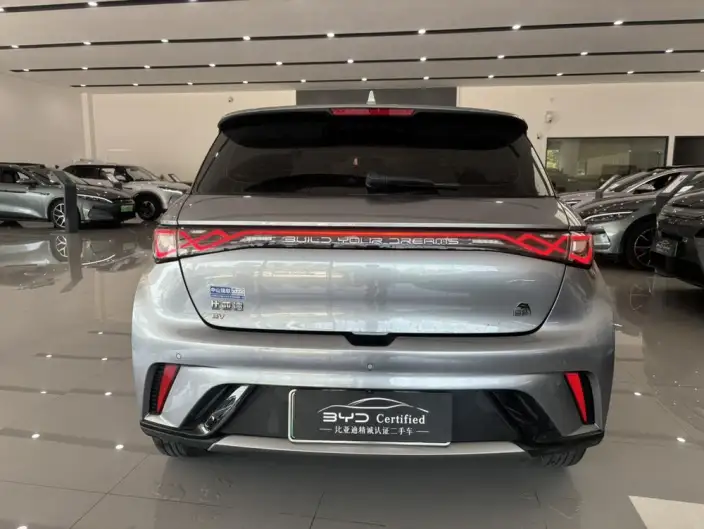 BYD Dolphin 2023 Model Free Edition – фото 6