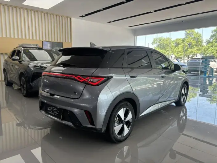 BYD Dolphin 2023 Model Free Edition – фото 7