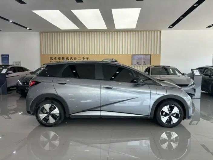 BYD Dolphin 2023 Model Free Edition – фото 8