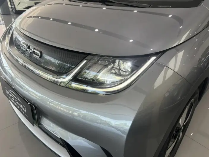 BYD Dolphin 2023 Model Free Edition – фото 9