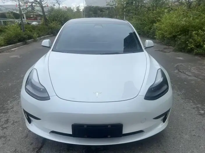 Model 3 2022 Model Rear-wheel drive version – фото 2