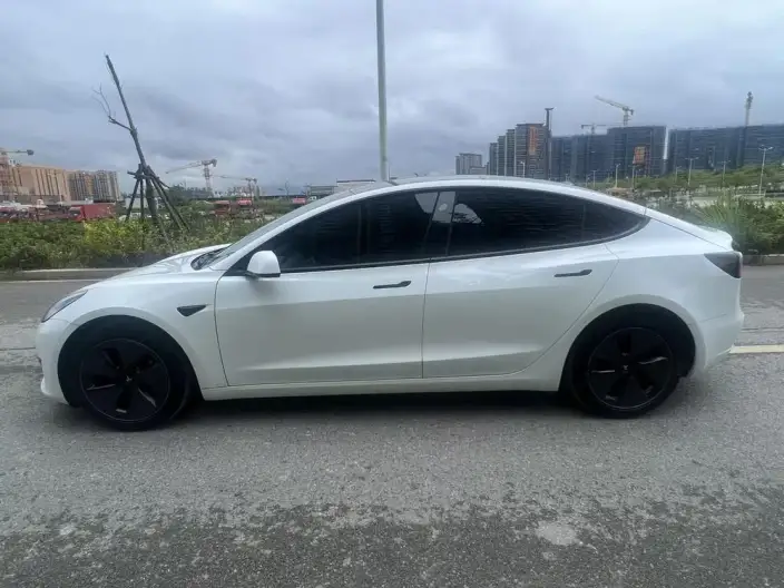 Model 3 2022 Model Rear-wheel drive version – фото 3