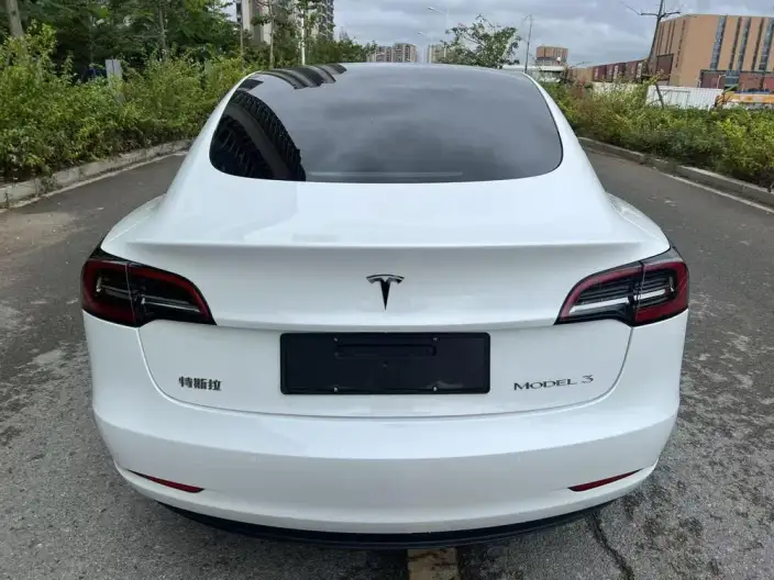 Model 3 2022 Model Rear-wheel drive version – фото 4