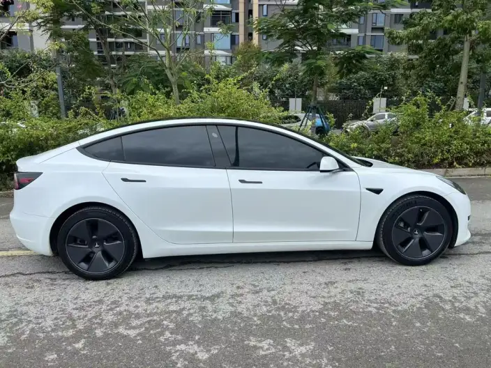 Model 3 2022 Model Rear-wheel drive version – фото 5