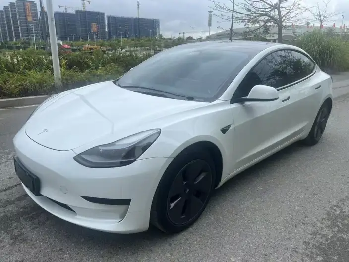 Model 3 2022 Model Rear-wheel drive version – фото 10